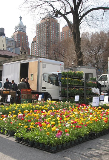 The Union Square Market, New York