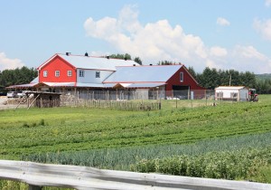 Cooking Seasonally in a Northern City