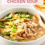 Superfast Mexican-Inspired Chicken Soup // FoodNouveau.com
