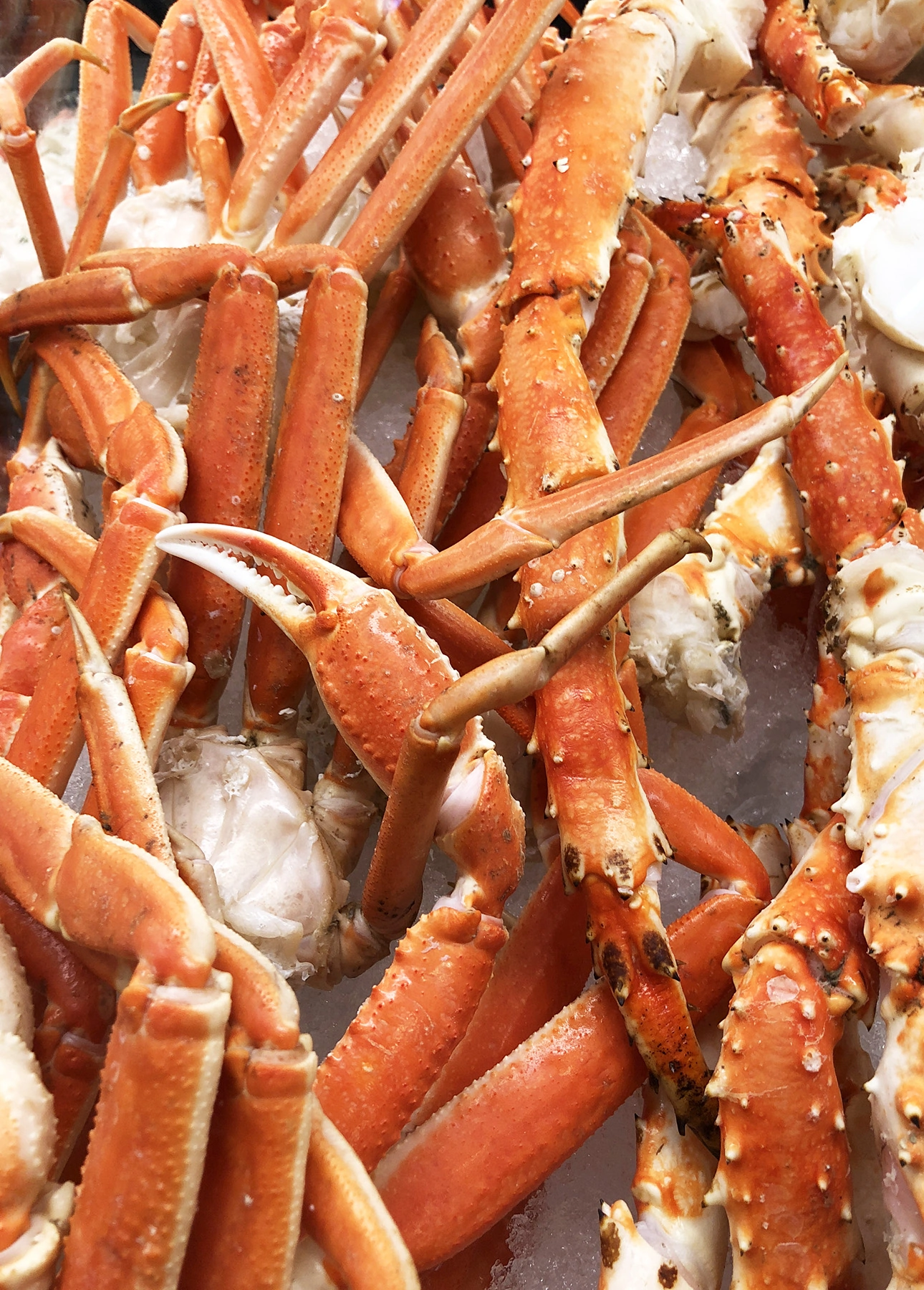 A comparison between snow crab legs, left, and king crab legs, right // FoodNouveau.com