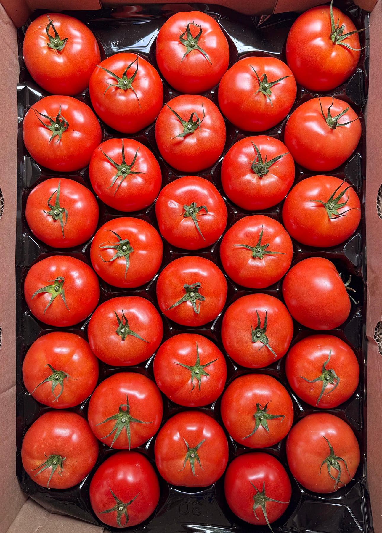 A box filled with neatly arranged, fresh red tomatoes in five rows, each tomato with a green stem, viewed from above—perfect for making vibrant Fresh Tomato Sauce. // FoodNouveau.com