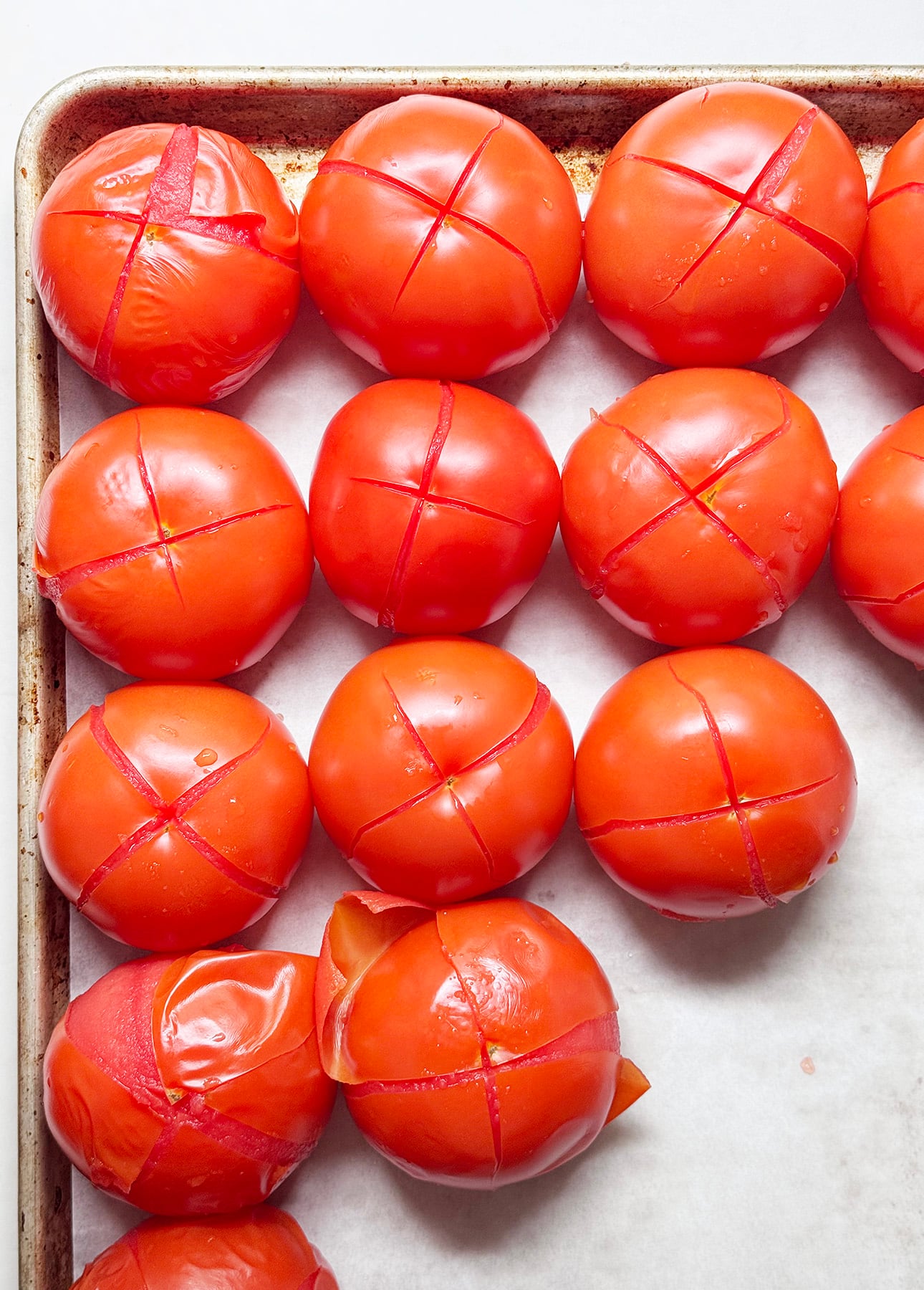 A baking tray lined with parchment paper holds rows of red tomatoes, each scored with an X on top—perfectly prepped for making fresh tomato sauce. One tomato in the bottom left corner has its skin peeling back slightly. // FoodNouveau.com