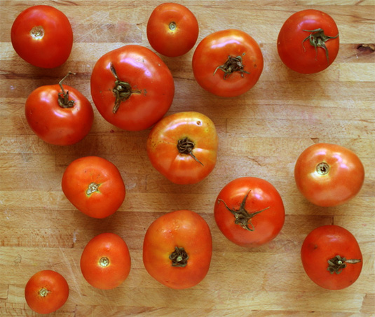 Humble (but very tasty!) garden tomatoes // FoodNouveau.com