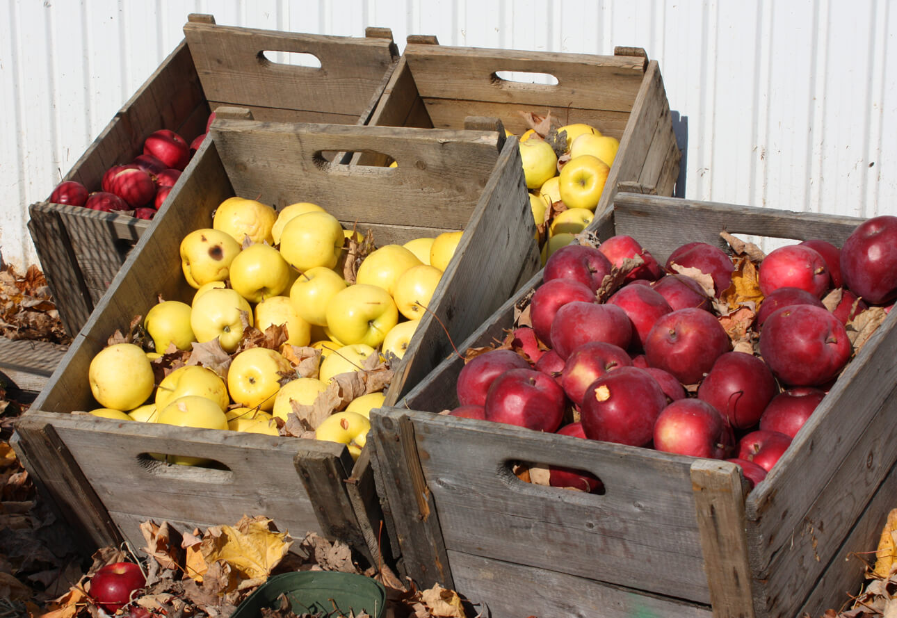 Crates of apples at the market // FoodNouveau.com