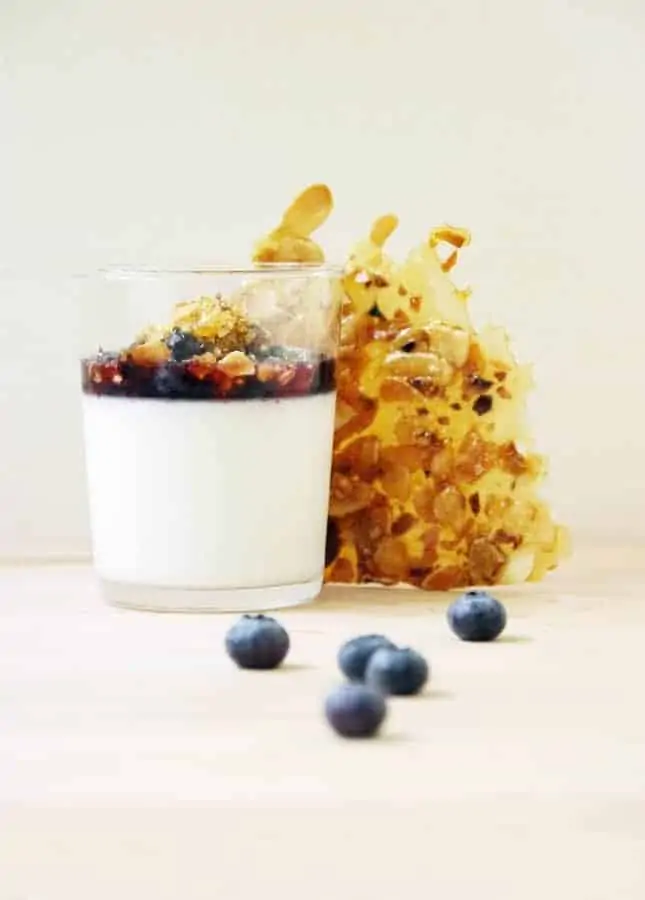 Almond Panna Cotta with Salted Praline and Macerated Blueberries (Dairy-Free) // FoodNouveau.com