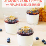 Dairy-Free Almond Panna Cotta with Salted Praline and Macerated Blueberries