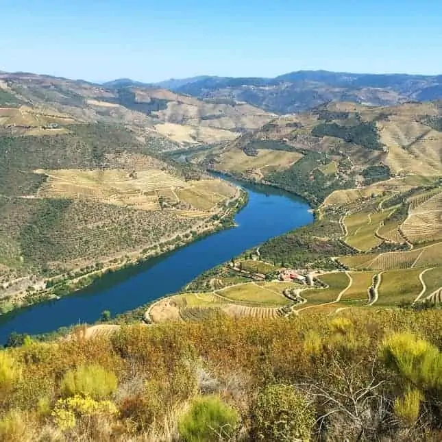 Douro Valley, Portugal // FoodNouveau.com