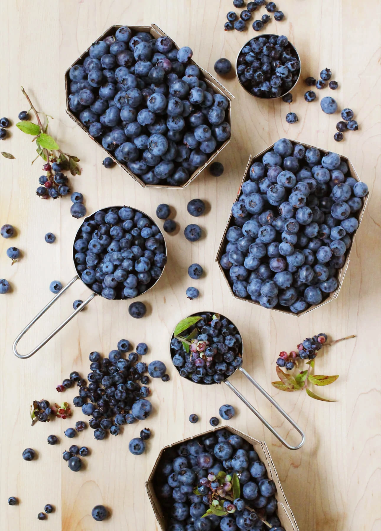 Wild blueberries to make blueberry gelato // FoodNouveau.com