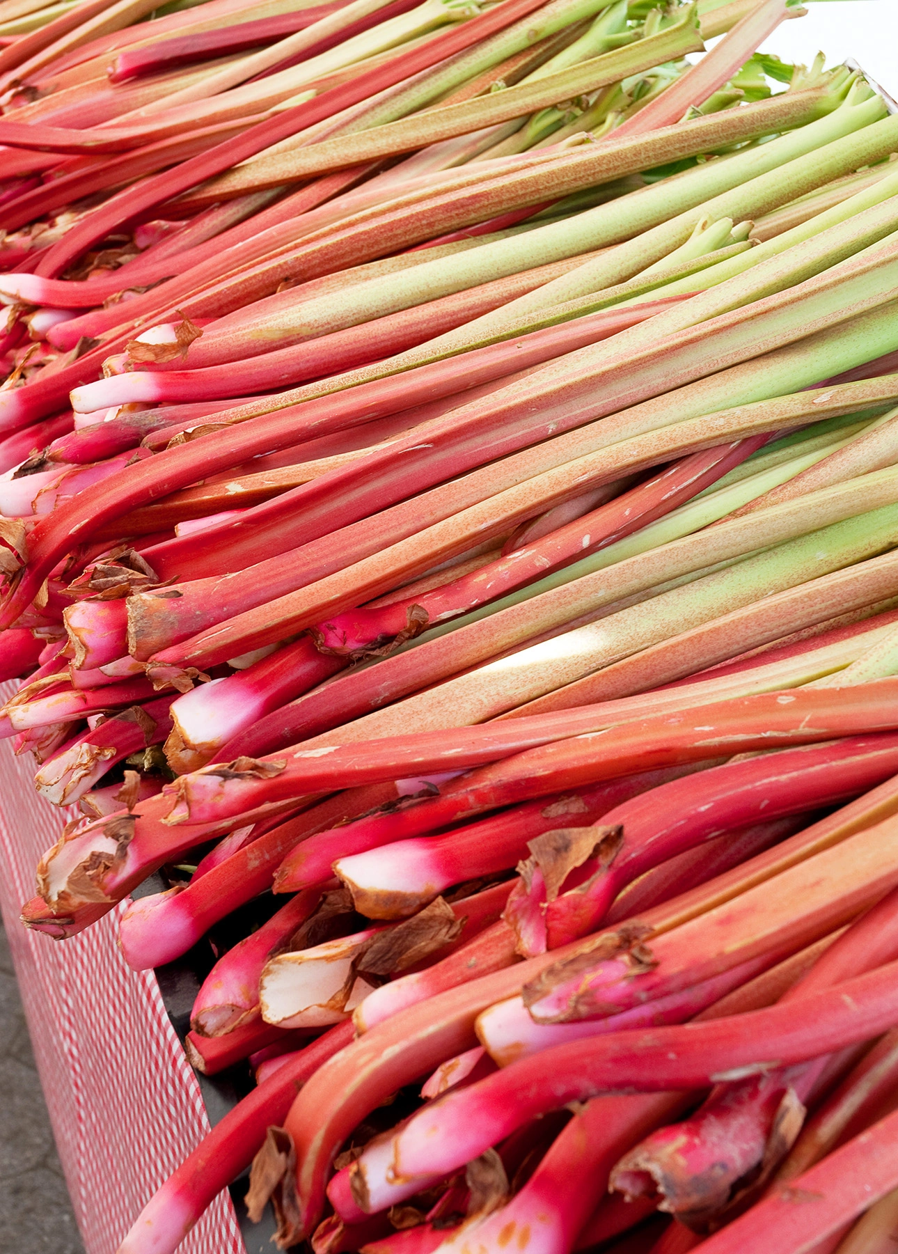 Fresh rhubarb stalks at the market // FoodNouveau.com