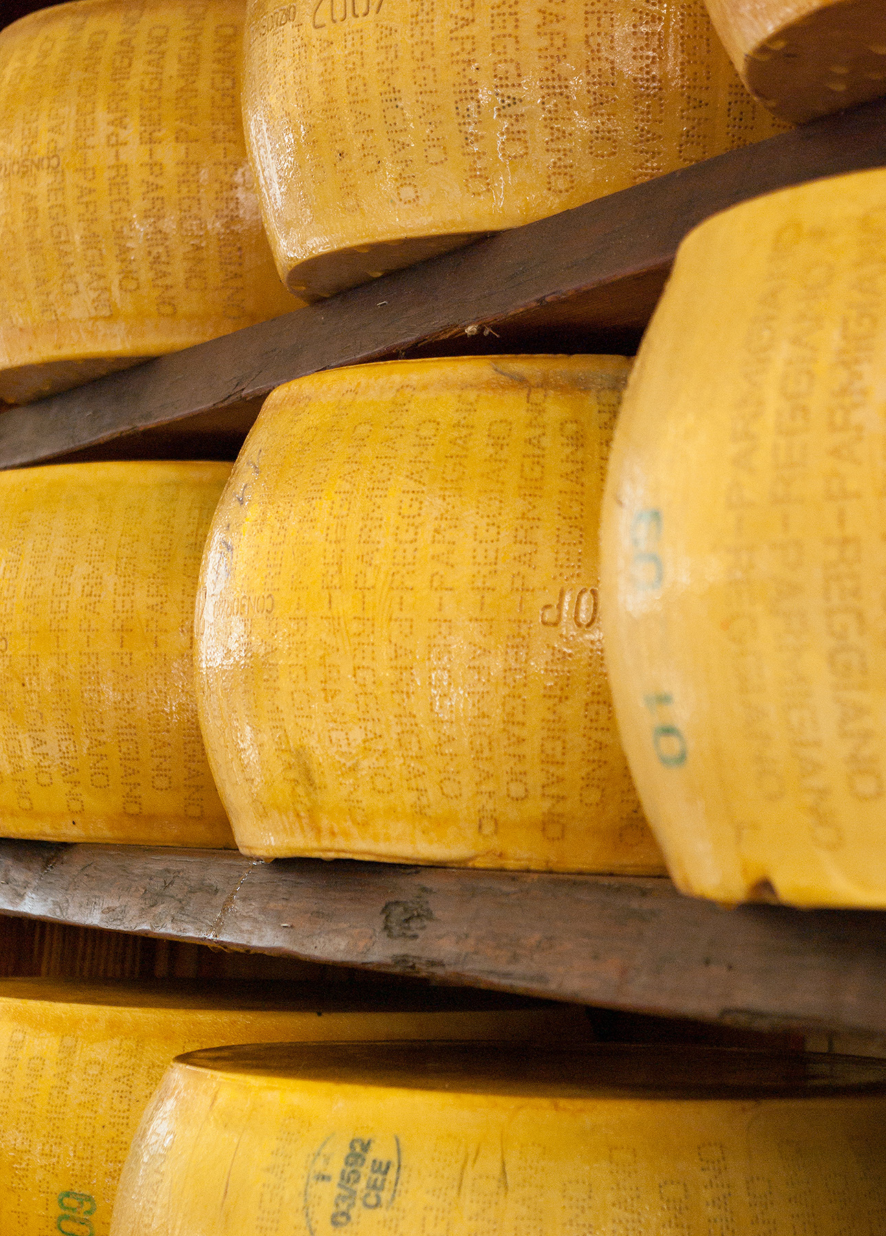 Large wheels of authentic Parmigiano Reggiano cheese with a yellow rind are stacked on wooden shelves in Parma, Italy. // FoodNouveau.com