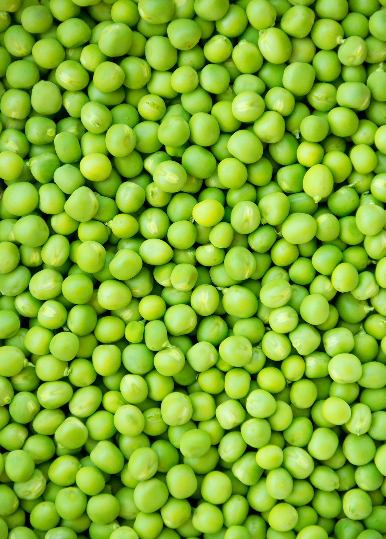 Bright green, shelled sweet peas, ready to eat or use in a recipe! // FoodNouveau.com