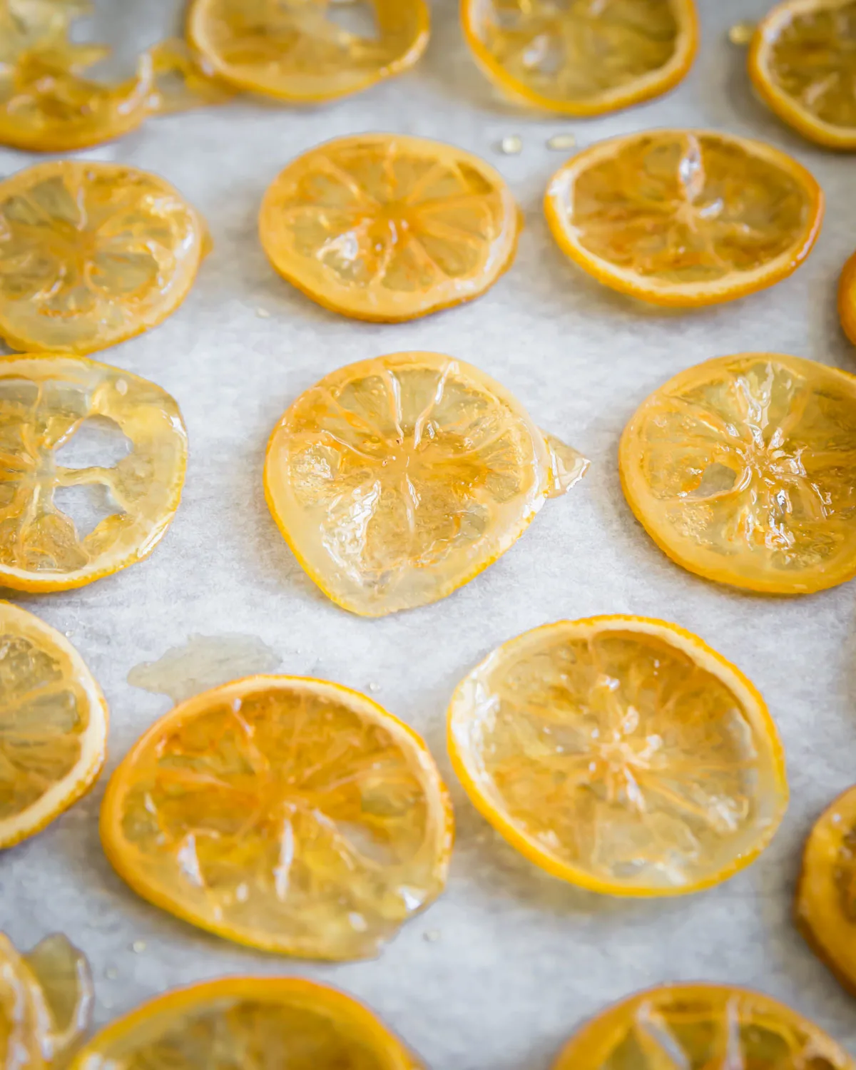 Candied Lemon Slices by Running to the Kitchen // FoodNouveau.com