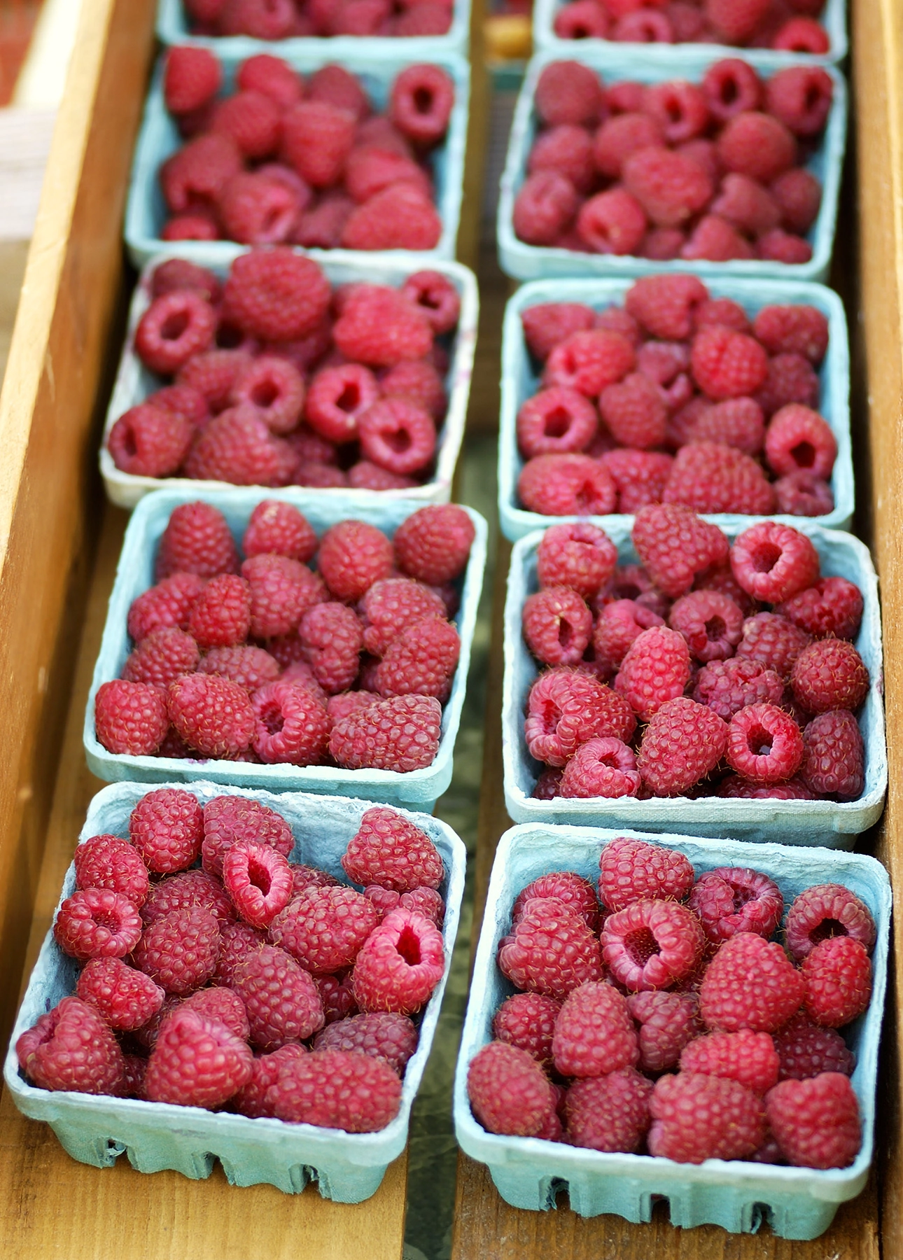 Freshly Picked Raspberries // FoodNouveau.com