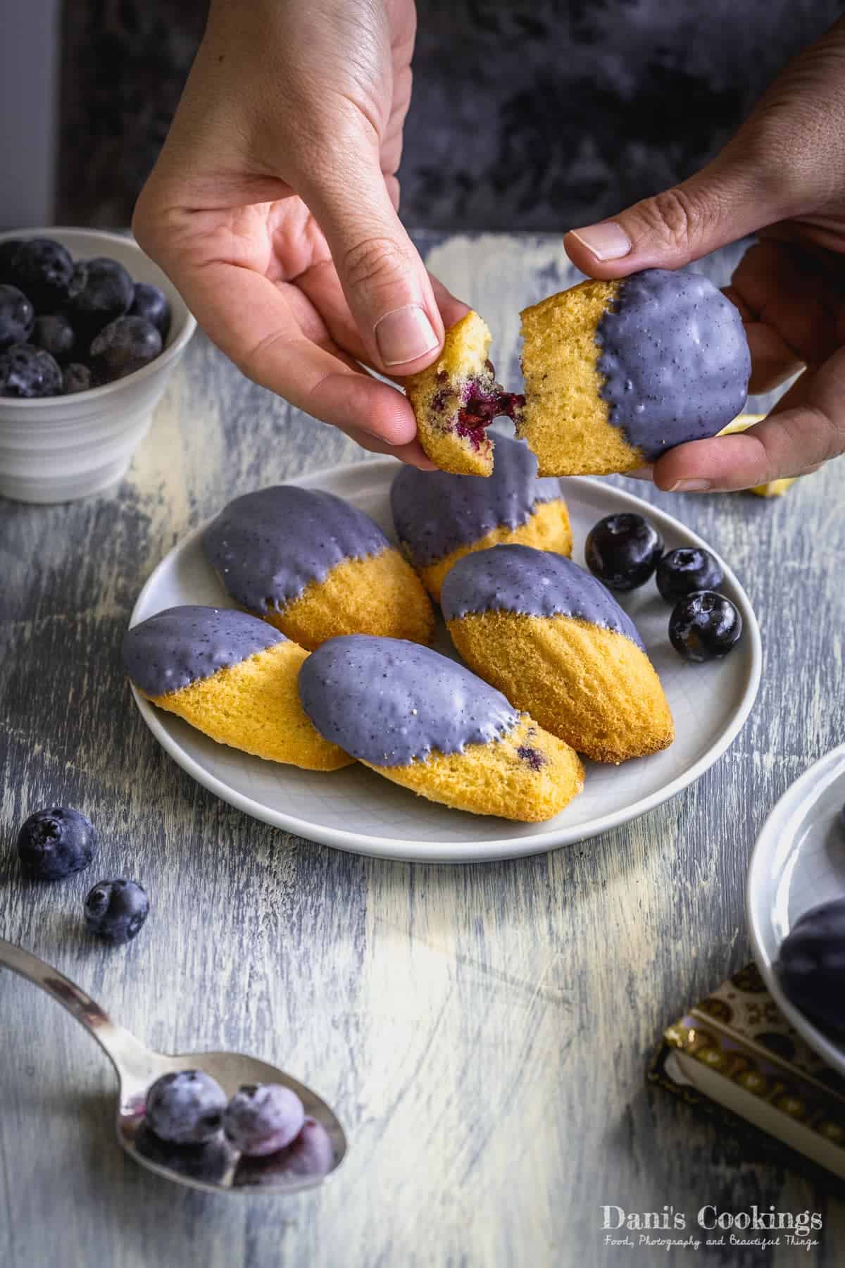 Blueberry Lemon Madeleines by Dani's Cookings // FoodNouveau.com