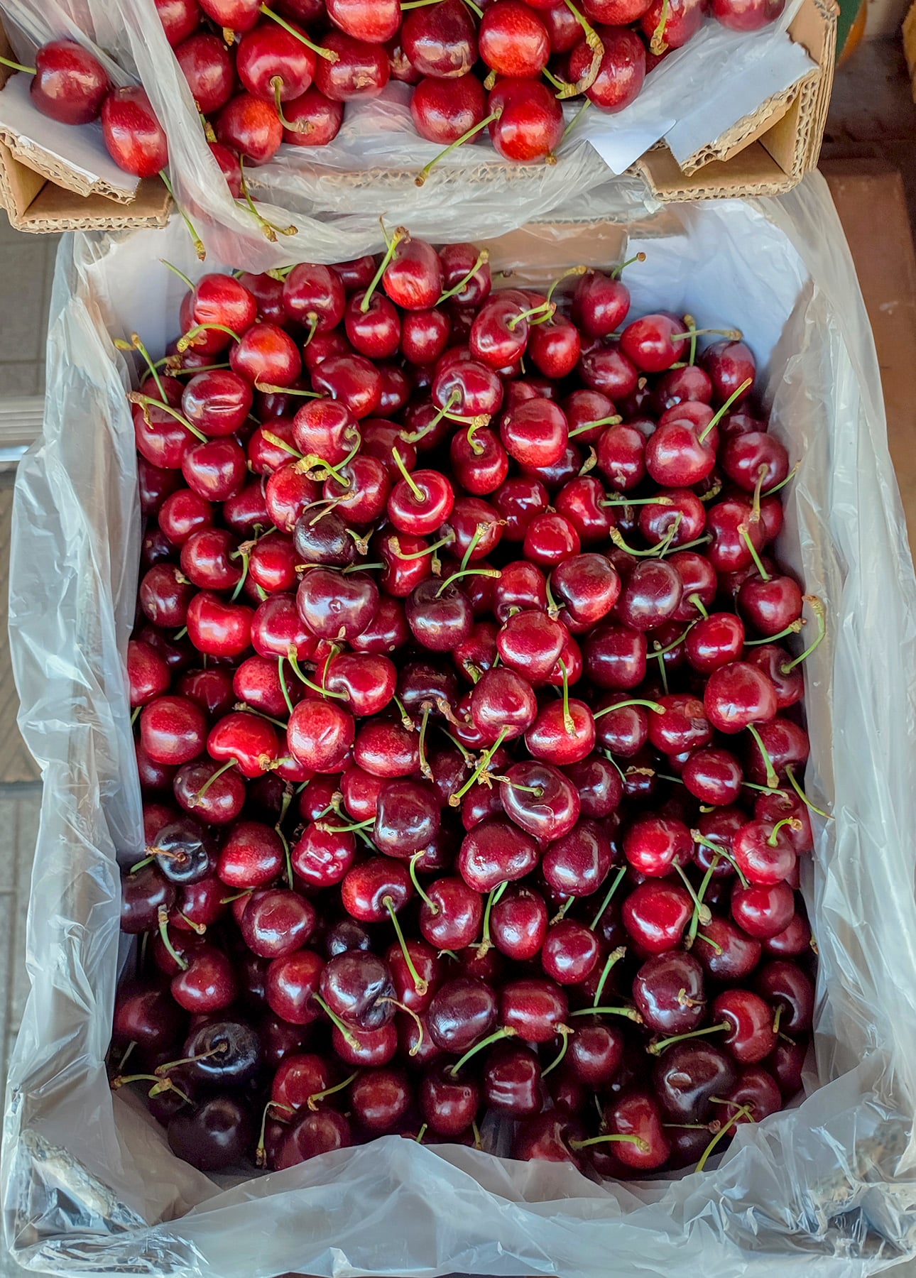 A large box filled with shiny, fresh red cherries with green stems, lined with clear plastic. Another box of similar cherries is partially visible at the top of the image—perfect for making a classic French cherry clafoutis or trying out your favorite cherry clafoutis recipe. // FoodNouveau.com