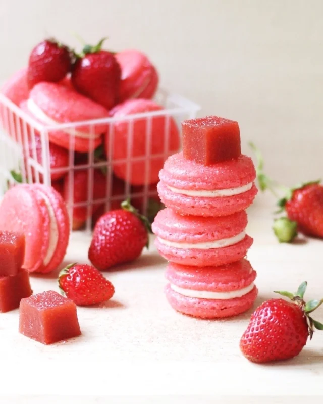 Strawberry Rhubarb French Macarons ✨
.
Strawberry-rhubarb season, but make it tiny and French 🍓 These macarons tuck bright fruit flavor inside delicate almond shells, with rhubarb buttercream and a little surprise center of strawberry-rhubarb pâtes de fruits. They’re definitely a project, but a very satisfying one if you’re in the mood for a weekend bake 💪🏼
.
Macarons can be finicky little divas, so give yourself time and don’t rush the process. Read the recipe all the way through before starting, age your egg whites if you can, and remember: a slightly imperfect shell still deserves to be filled, sandwiched, and eaten with joy 💕
.
Click the link in my profile to get my recipe for Strawberry Rhubarb French Macarons, or comment RECIPE and I’ll DM it to you right away.
.
If you might need help making these treats, check out my free French Macaron Video Masterclass on YouTube! My 30-minute class is divided into handy lessons that will make you a macaron expert in no time.
🎥 Watch it now at youtube.com/foodnouveau
.
https://foodnouveau.com/strawberry-rhubarb-macarons/
.
#macarons #frenchmacarons #strawberryrhubarb #frenchbaking #springdessert